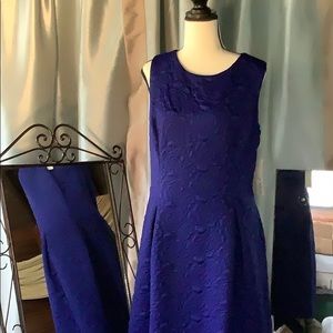 NWT Eliza J Blue dress. Size 16. Soft brocade with full zip